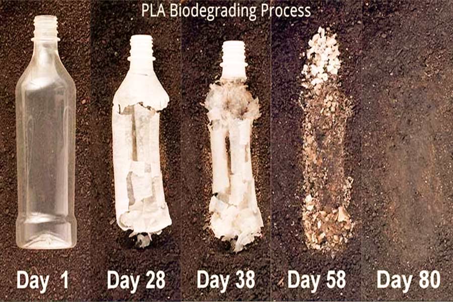 Degradation of Standard PLA